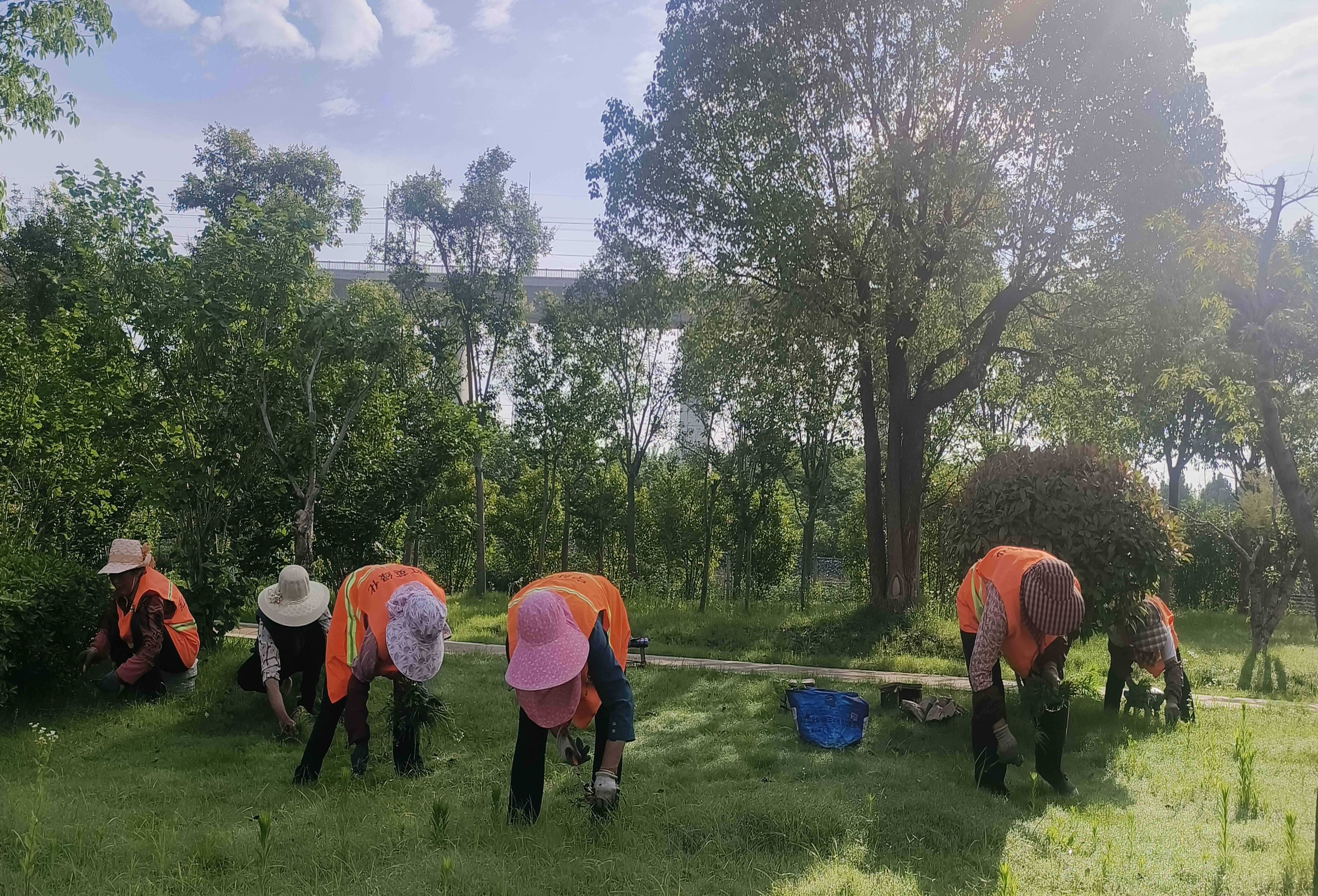 除草3.jpg 除草3.jpg