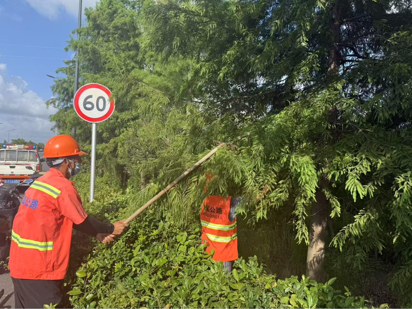 全域覆盖 精细化养护1.jpg 全域覆盖 精细化养护1.jpg