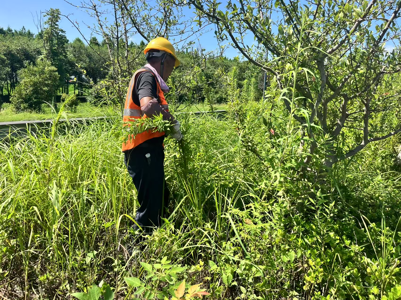 图片1.png 图片1.png